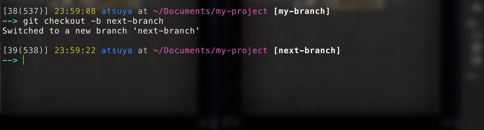 my prompt
